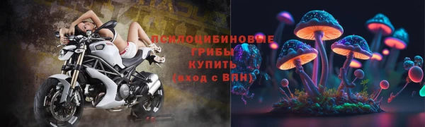 твердый Переславль-Залесский