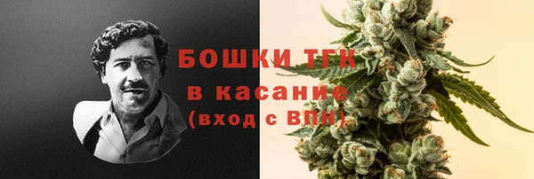 стаф Осташков