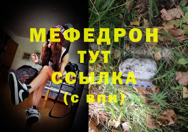 стаф Осташков