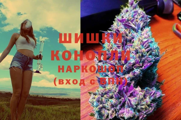 стафф Кулебаки
