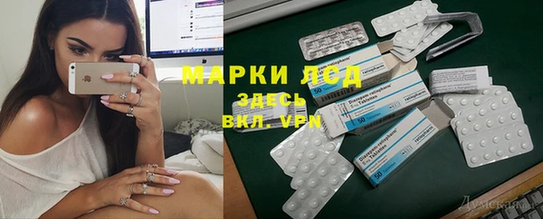 стаф Осташков
