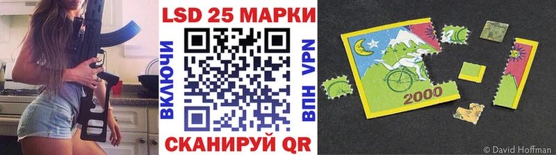 где можно купить Болхов Марки NBOMe 1,8мг