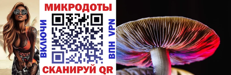 закладки Болхов Галлюциногенные грибы прущие грибы