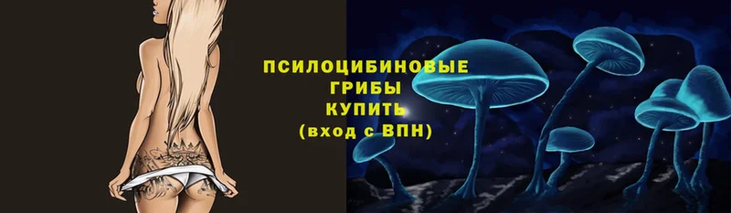 Галлюциногенные грибы Magic Shrooms  Болхов 